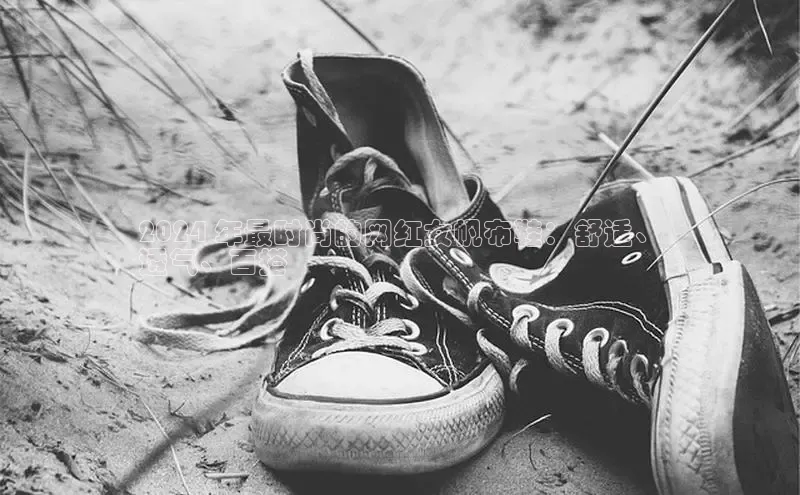 意昂2登录入口58同城2024 年最时尚的网红女帆布鞋：舒适、
透气、百搭