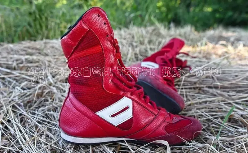 意昂2登录地址百度智能云2024 年京东自营男士运动鞋：优质、舒适和
时尚