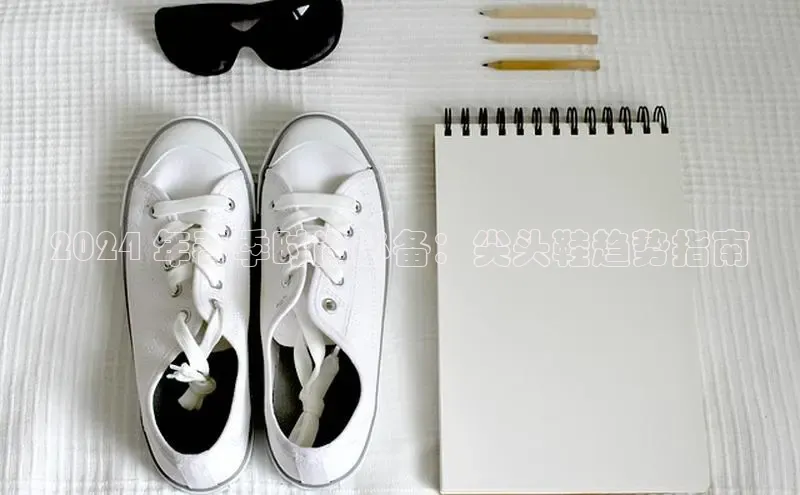 意昂2体育在线平台登录百度手机助手2024 年春季时尚必备：尖头鞋趋势指南