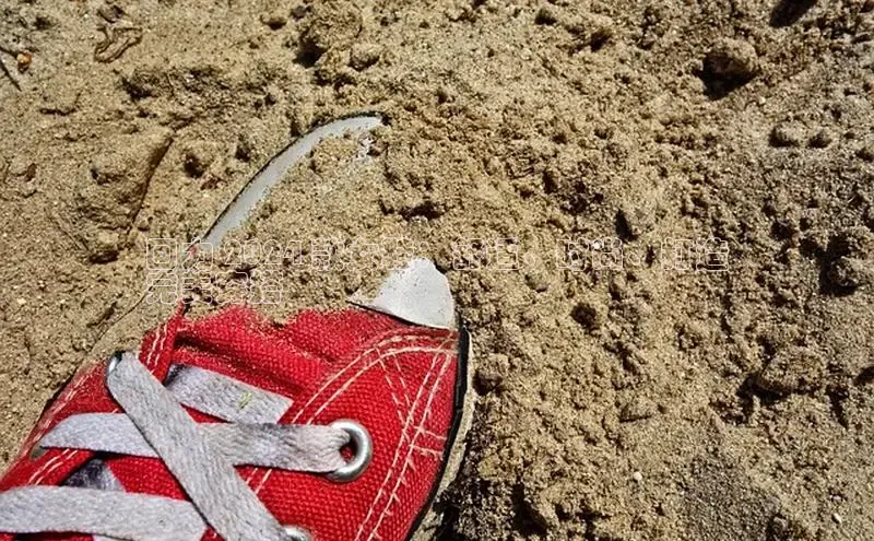 意昂2招商华策影视回力 2024 款女鞋：舒适、时尚、打造
完美穿搭