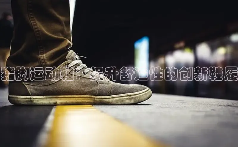 意昂2账号登录入口百度翻译猪脚运动鞋：提升舒适性的创新鞋履